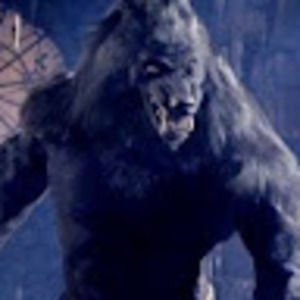 Meet your Posher, Jon